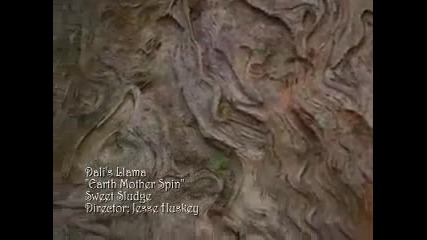 Dali's Llama - Earth Mother Spin