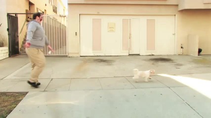 10 Second Zombie-zombie Walks a Dog