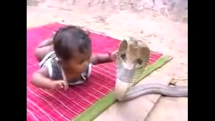 Human Vs Reptile! A lesson to be learned to fight evil!