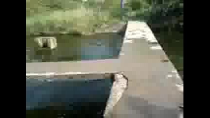 Djambure v Kaloqnovec