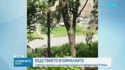 „Дойде изведнъж и гръмна като бомба“: 359 жертви и 1500 изчезнали след бедствието в Непал, търсят и българин