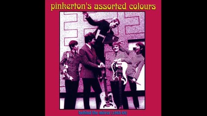 Pinkerton's Assorted Colours - Mirror Mirror