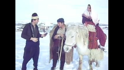 basta dava dashterq si