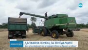 Изтича срокът за заявления от земеделци за държавна помощ заради войната в Украйна