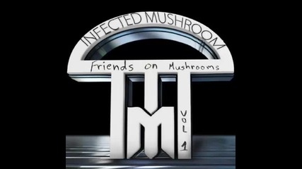 *2013* Infected Mushroom - Where do I belong