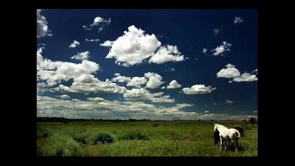 Thomas Newman - Any other name 