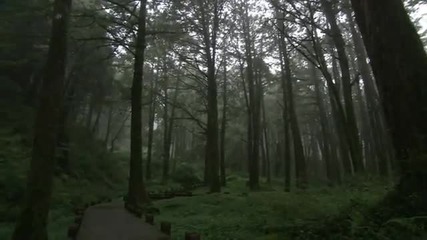 Wonderful Chill Out Music - Taiwan 