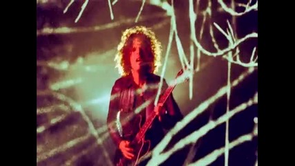 Wolfmother - New Moon Rising ( Official Video )