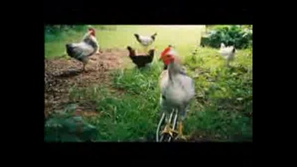 Jon Lajoie - High As Fuck.flv
