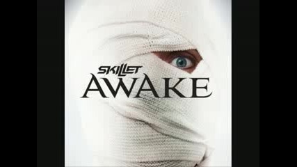 Skillet - Its Not Me Its You