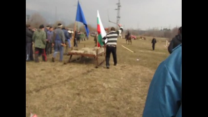 Tigar-zlatica 10.03.2012g