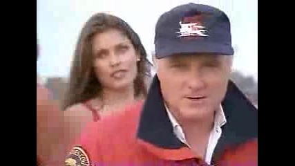 The Beach Boys - Summer Of Love
