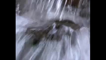 Nad tsialata zemia