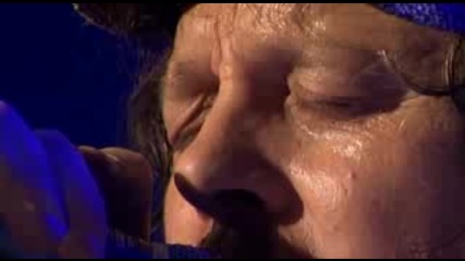 Zucchero - Ali Doro - Live