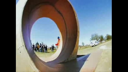 jackass 