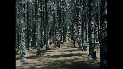 (sridevi, Sunny Deol)