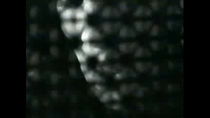 Darfk Raven - Touch Of Evil