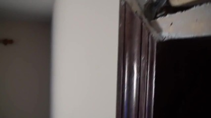 Swifty proofing the house!