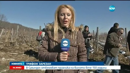 В Сухиндол отбелязват празника на виното вече 150 години