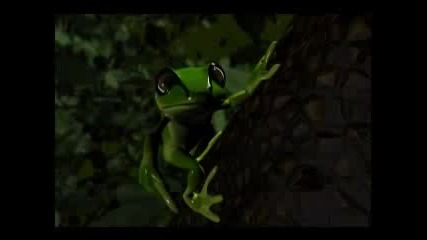 Alcoholic frog 2
