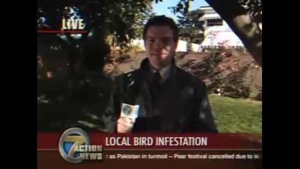 Птица се изхожда върху устата на репортер-смях