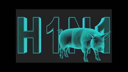 Песен за свинския грип 