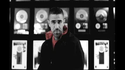 Fler - Das alles ist Deutschland (feat. Bushido)