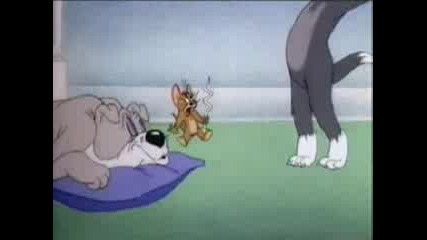Tom And Jerry - Quiet