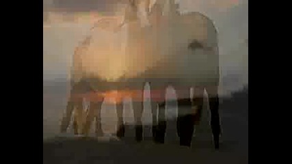 Natacha Atlas Kidda, Muhammad This Is For