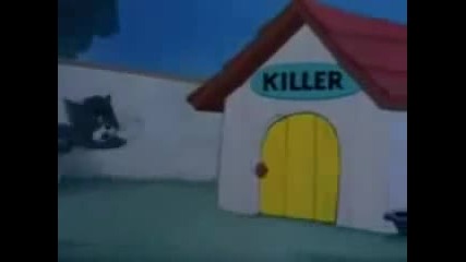 Tom and Jerry (bg Parody)