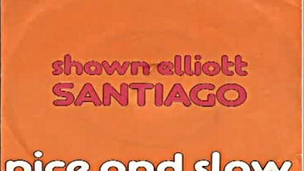 Shawn Elliot Santiago - Nice And Slow(7'')
