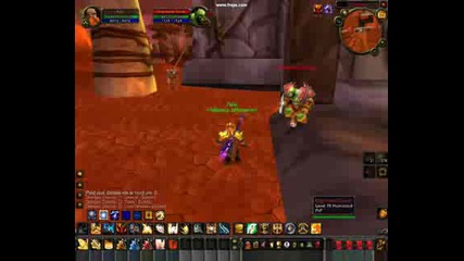 World Of Warcraft - Pala !!! ®