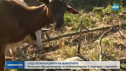 Изплащат обезщетенията за евтаназираните животни в Странджа и Крайново