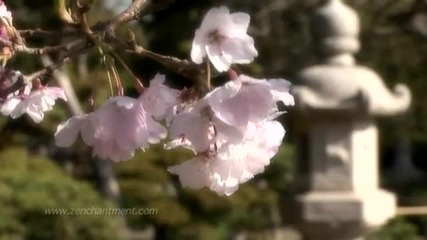 Zen Garden - Sacred Spaces Shrines, Pure Meditation and Relaxation