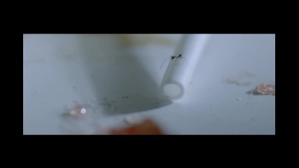 Jess Lee - Suffering