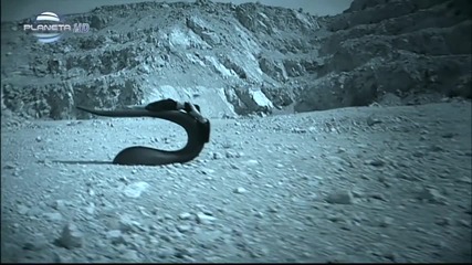 /страхотна!/ Емилия - Ти си луд