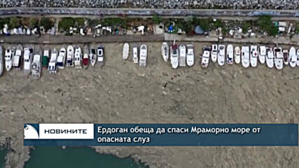 Ердоган обеща да спаси Мраморно море от опасната слуз