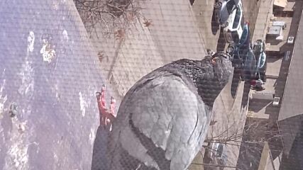 Vid_20220218_113841.mp4