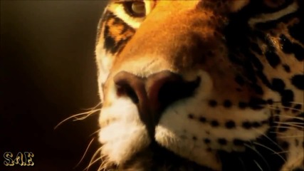 Laura Pausini ~ One more time 2013