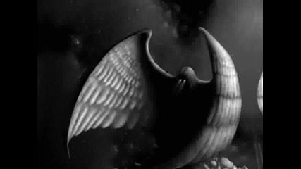 Vader-wings