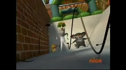The Penguins of Madagascar - Miss understanding