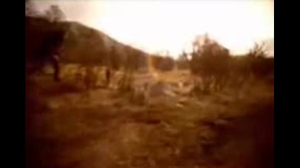 Plummet - Cherish the Day