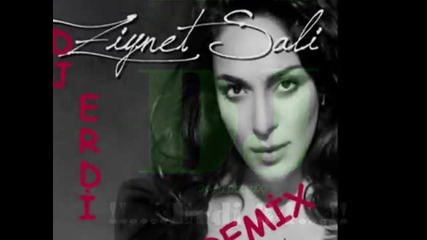 Dj Erdi 34 Vs Ziynet Sali Ruya 2010 (remix)