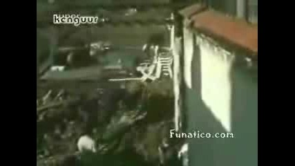 Смешни И Глупави