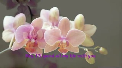 Linda Ronstadt and Aaron Neville - All My Life bg_sub