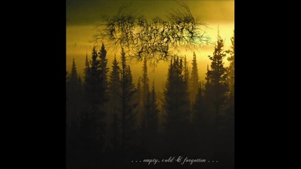 From The Sunset, Forest And Grief - My (suicide) Path
