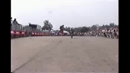 Ducati Stunt Show