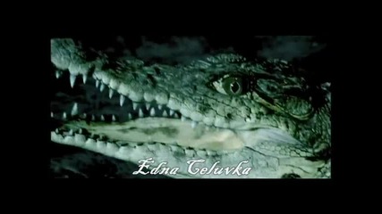 Galena - Megamix 2010