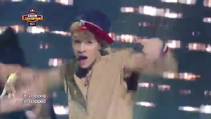 Henry - Trap, Show champion 20130612