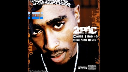 2pac - Cause I had To ( Shayning Remix 2012 )
